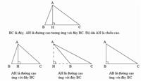 Công Thức Tính Diện Tích Tam Giác Vuông, Cân, Đều Chi Tiết