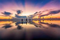 Tổng Hợp Các Số Điện Thoại Taxi Sân Bay Nội Bài Mới Nhất Tại TaxiVip93