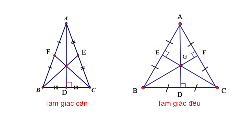 Đường trung tuyến là gì